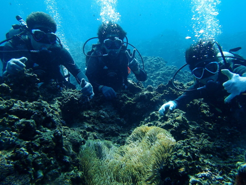沖縄ダイビングツアー