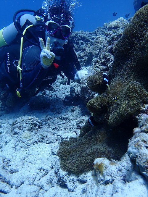 沖縄体験ダイビング