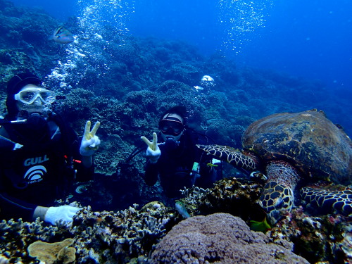 沖縄体験ダイビング