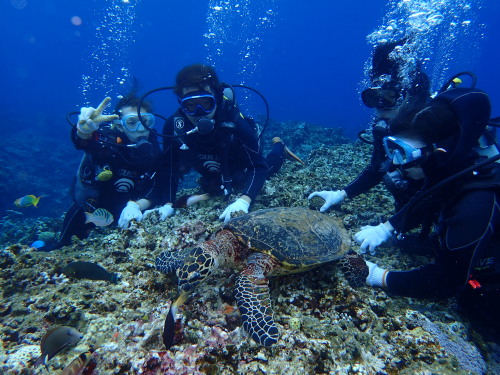 慶良間体験ダイビング