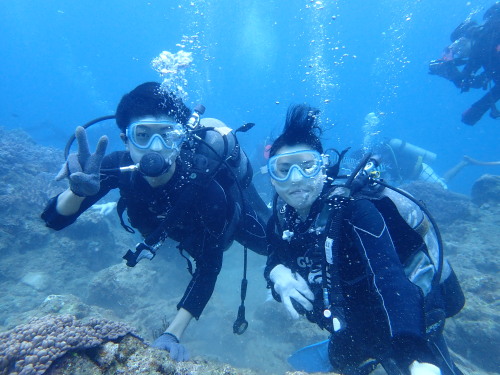 沖縄本島周辺体験ダイビング