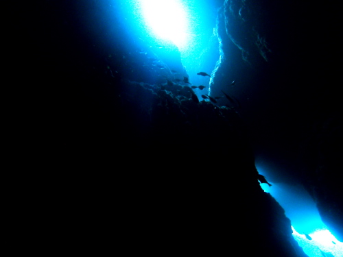 ☆彡今日もチービシ諸島でダイビング☆彡