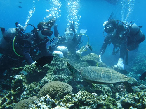 慶良間体験ダイビング