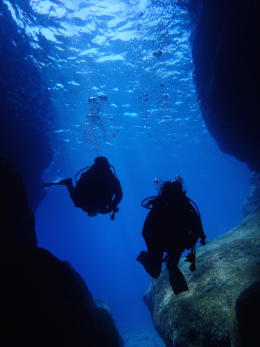 ダイビング慶良間