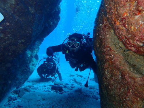 ☆彡慶良間諸島ダイビングツアー☆彡