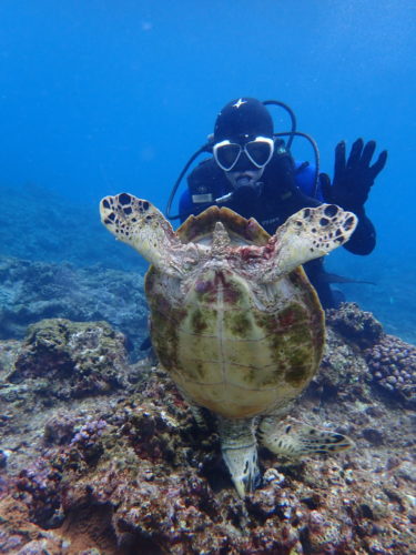 ☆彡慶良間ダイビングツアー☆彡