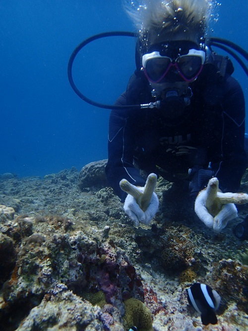 慶良間体験ダイビング