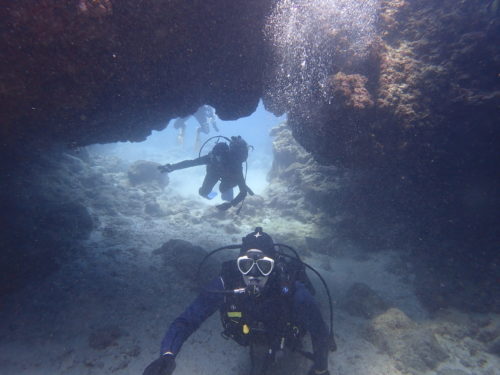 ☆彡慶良間諸島ダイビング☆彡