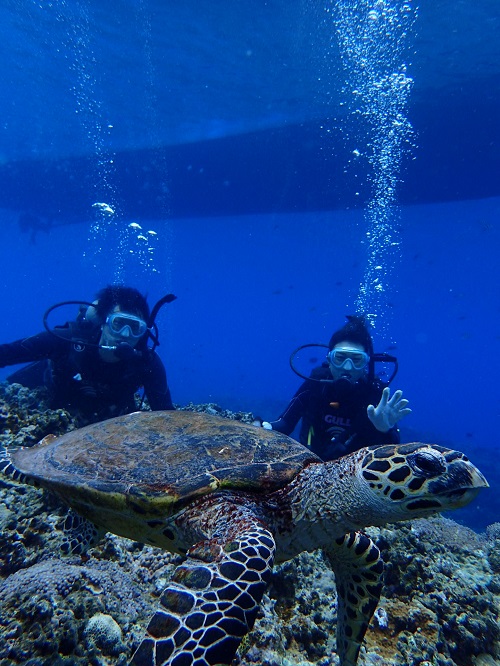 沖縄体験ダイビング