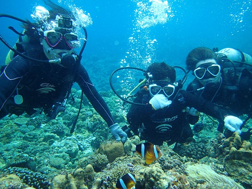 沖縄ダイビングツアー