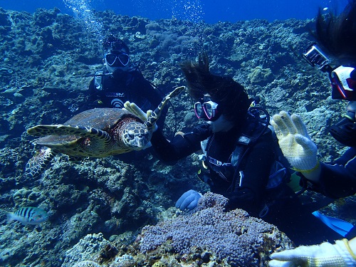 沖縄体験ダイビング