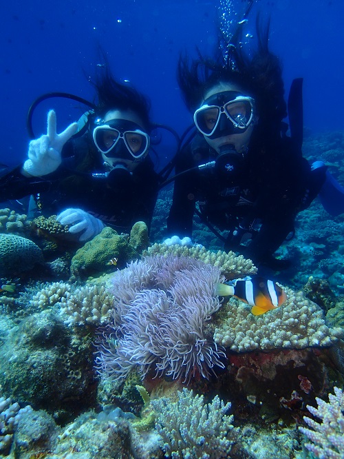 ☆彡綺麗なサンゴ礁で体験ダイビング☆彡