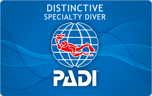 沖縄ダイビングライセンス