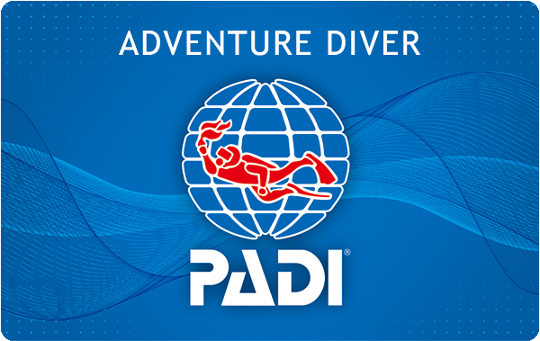 沖縄ダイビングライセンス