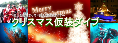 慶良間諸島クリスマスダイブ