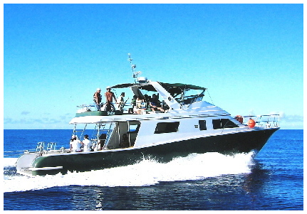 クルーザーSTELLAR