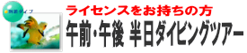 沖縄午前・午後半日ダイビングツアー
