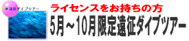 沖縄粟国・渡名喜ダイビング