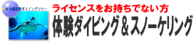 沖縄体験ダイビング