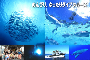 沖縄ダイビングクルーズ