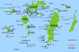 沖縄ダイビングクルーズ（ケラマ）