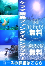 ケラマダイビング