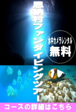 沖縄ダイビング（恩納村）