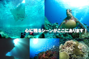 �P���}�_�C�r���O