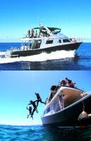 �P���}�_�C�r���O