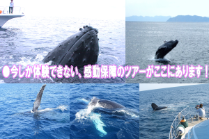 �������̉���z�G�[���E�H�b�`���O�I