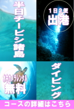 沖縄半日ダイビング（チービシ）