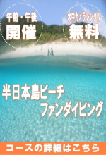 沖縄半日ダイビング（ビーチ）
