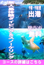 沖縄半日体験ダイビング