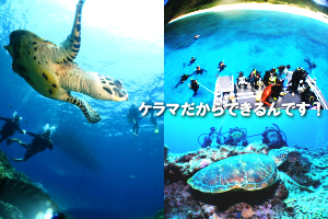 ケラマ体験ダイビングツアー