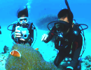 沖縄ダイビングライセンス風景1